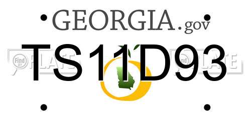 TS11D93 Georgia License Plate