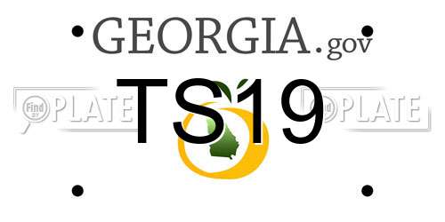 TS19 Georgia License Plate