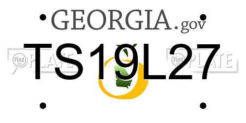 TS19L27 Georgia License Plate