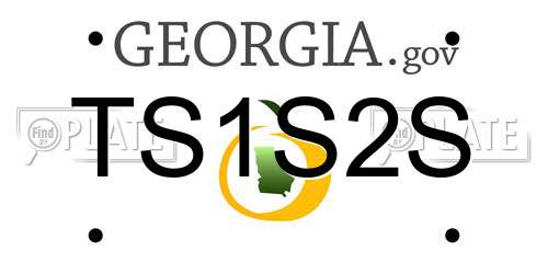 TS1S2S Georgia License Plate
