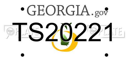 TS20221 Georgia License Plate