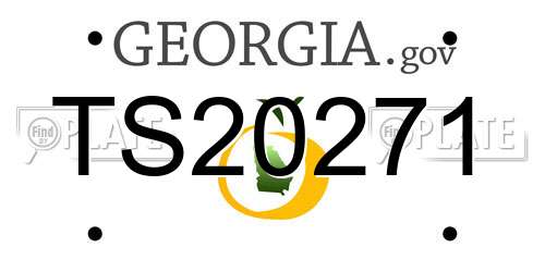 TS20271 Georgia License Plate