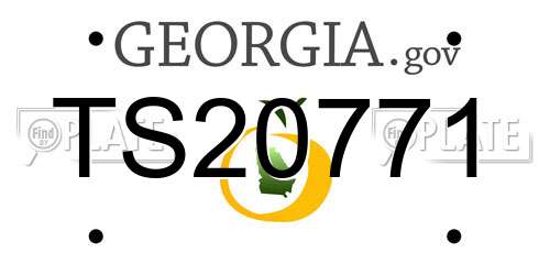 TS20771 Georgia License Plate