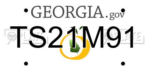 TS21M91 Georgia License Plate