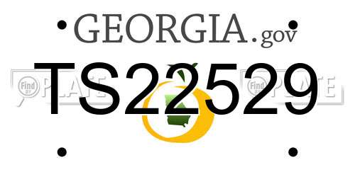 TS22529 Georgia License Plate