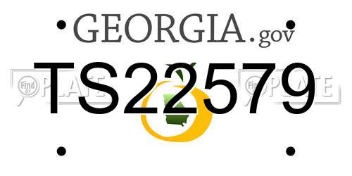 TS22579 Georgia License Plate