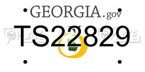 TS22829 Georgia License Plate