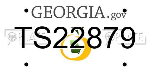 TS22879 Georgia License Plate