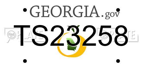 TS23258 Georgia License Plate