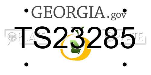 TS23285 Georgia License Plate