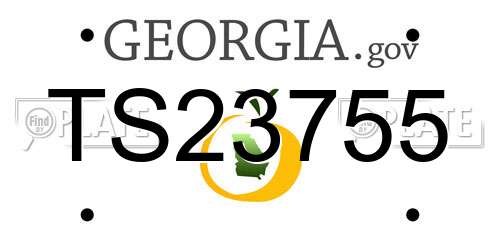 TS23755 Georgia License Plate