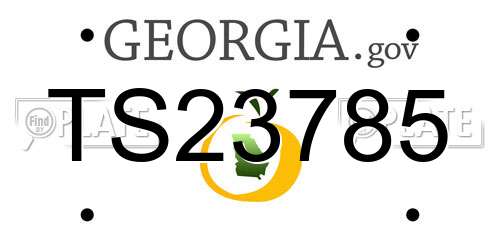 TS23785 Georgia License Plate