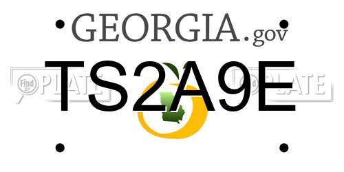 TS2A9E Georgia License Plate