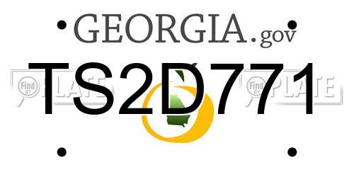 TS2D771 Georgia License Plate