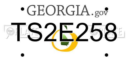 TS2E258 Georgia License Plate