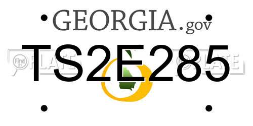 TS2E285 Georgia License Plate