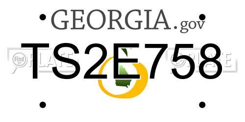 TS2E758 Georgia License Plate