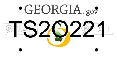 TS2O221 Georgia License Plate