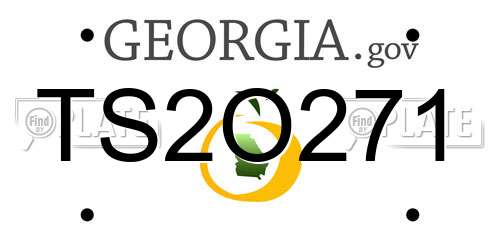 TS2O271 Georgia License Plate