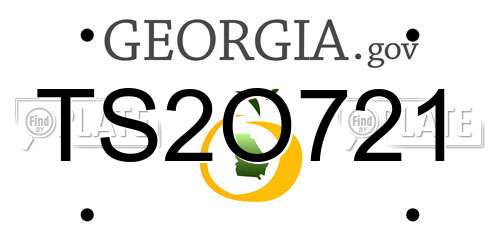 TS2O721 Georgia License Plate