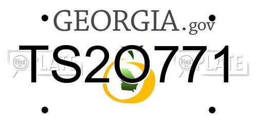 TS2O771 Georgia License Plate