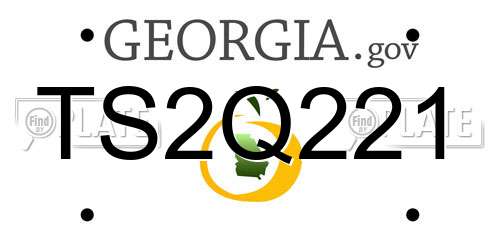 TS2Q221 Georgia License Plate