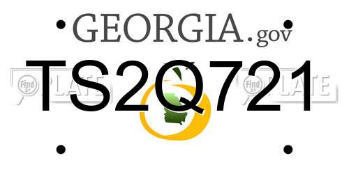 TS2Q721 Georgia License Plate