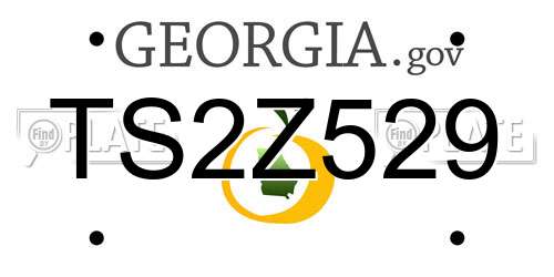 TS2Z529 Georgia License Plate