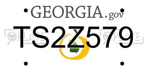TS2Z579 Georgia License Plate