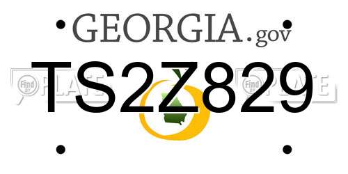 TS2Z829 Georgia License Plate