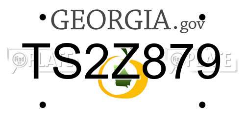 TS2Z879 Georgia License Plate