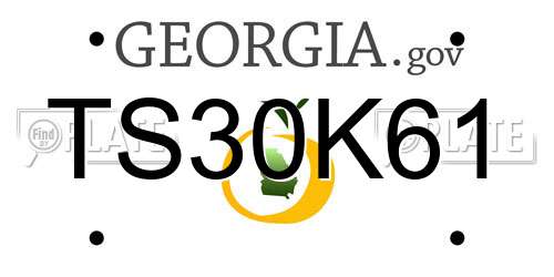 TS30K61 Georgia License Plate