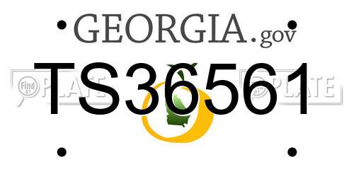 TS36561 Georgia License Plate