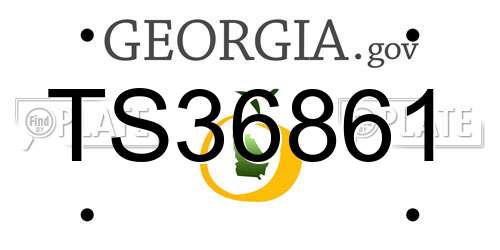 TS36861 Georgia License Plate