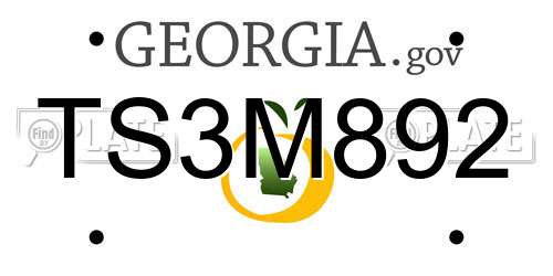 TS3M892 Georgia License Plate