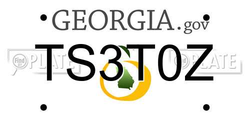 TS3T0Z Georgia License Plate