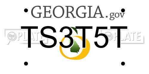 TS3T5T Georgia License Plate