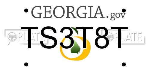 TS3T8T Georgia License Plate