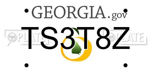 TS3T8Z Georgia License Plate