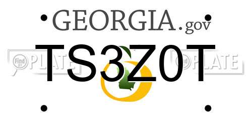 TS3Z0T Georgia License Plate