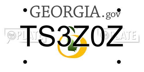 TS3Z0Z Georgia License Plate