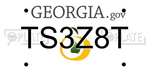 TS3Z8T Georgia License Plate