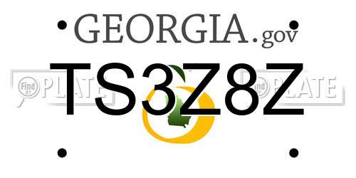 TS3Z8Z Georgia License Plate