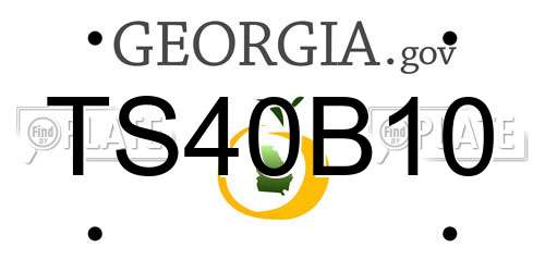 TS40B10 Georgia License Plate