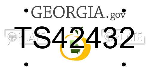 TS42432 Georgia License Plate