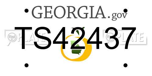 TS42437 Georgia License Plate