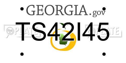 TS42I45 Georgia License Plate