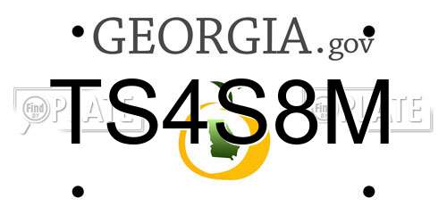TS4S8M Georgia License Plate
