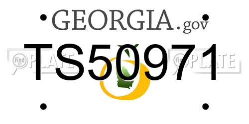 TS50971 Georgia License Plate