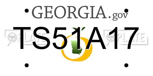 TS51A17 Georgia License Plate